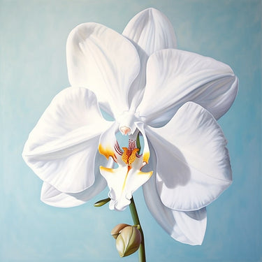 White Orchid Canvas